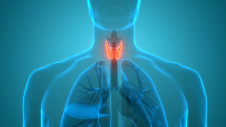 10  Foods to improve your Thyroid Functioning